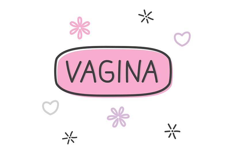 tipos-de-vagina